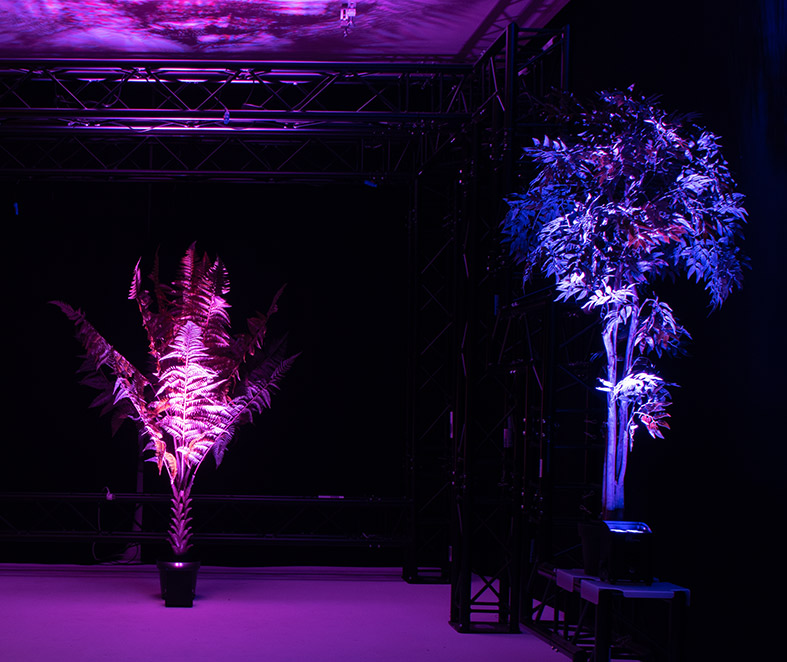 EUROLITE AKKU IP UP-4 PLUS Effektbild 2