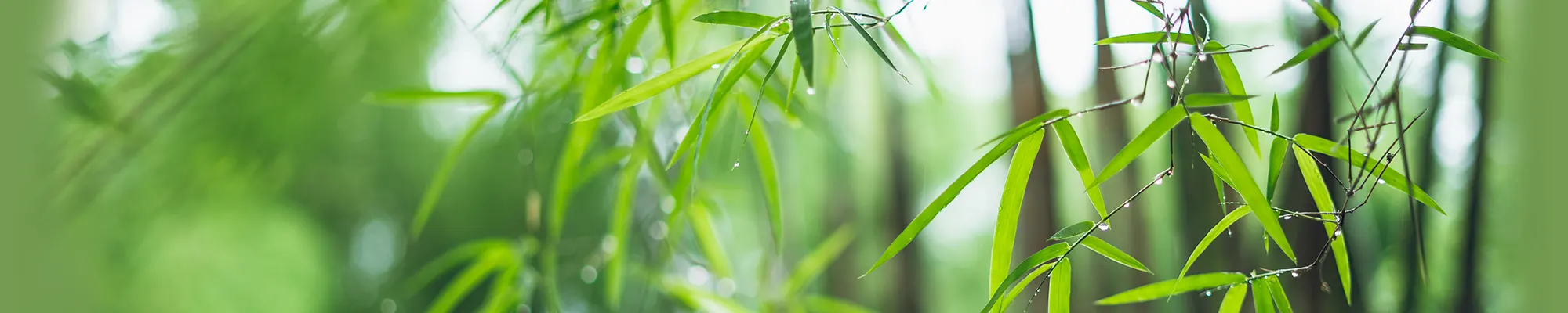 Hände greifen ineinander