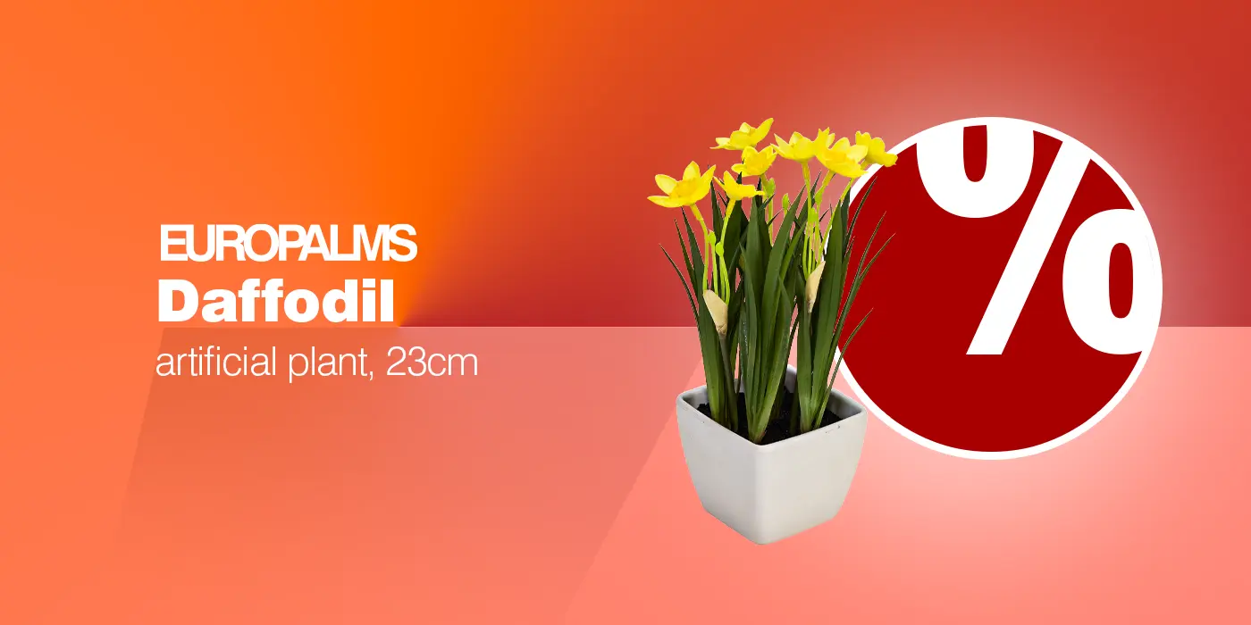 EUROPALMS Narzisse, 23cm