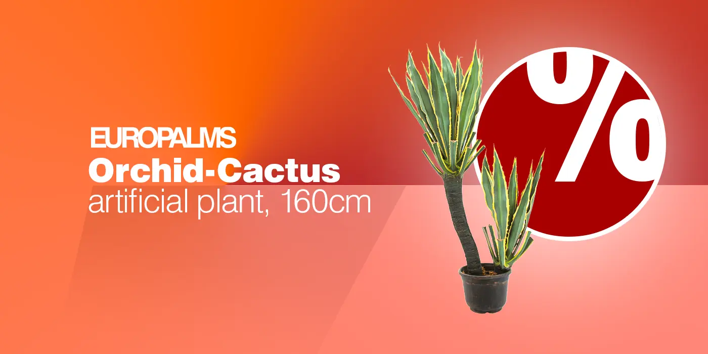 EUROPALMS Orchideen-Kaktus, Kunstpflanze, 160cm